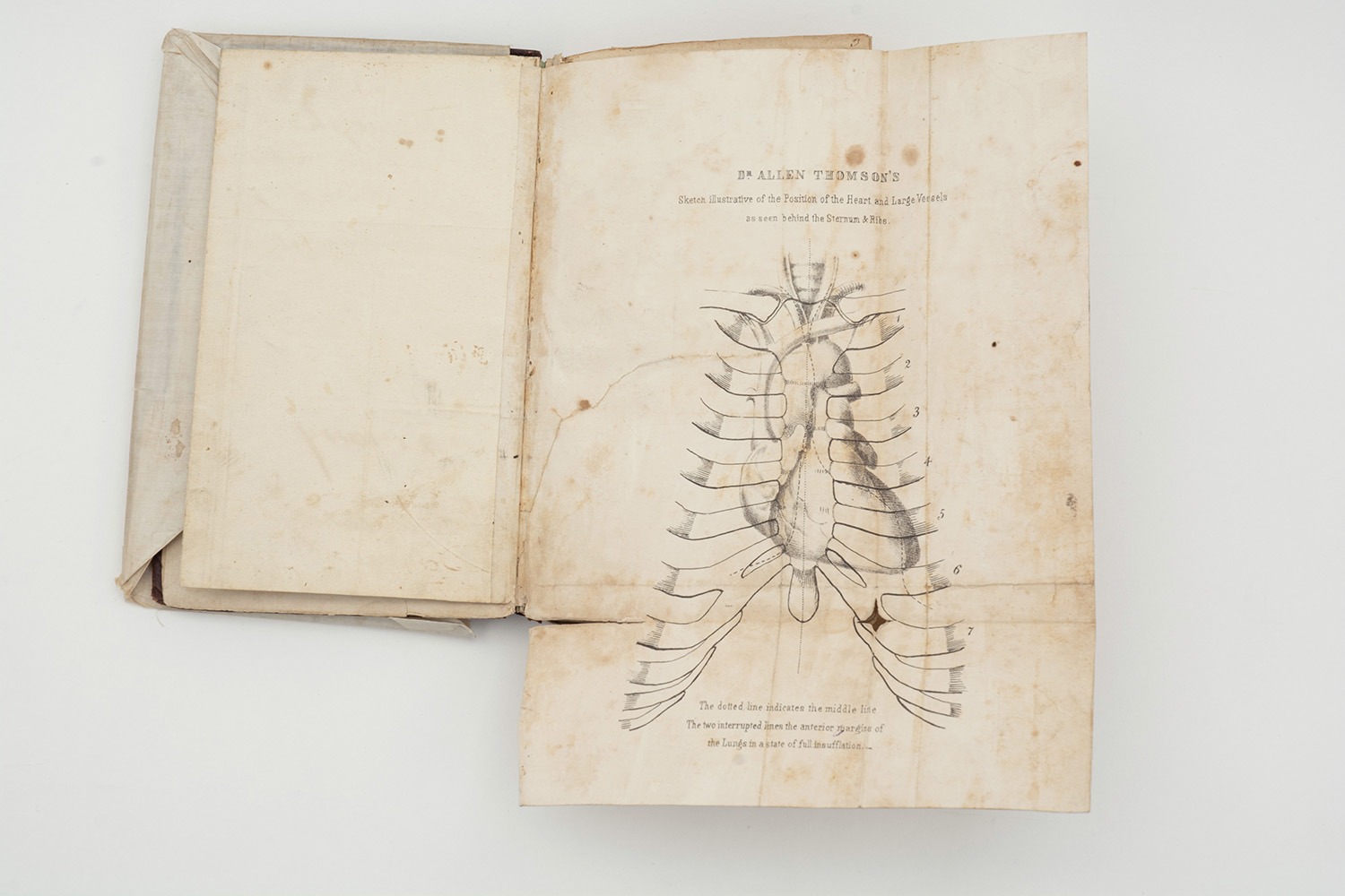 Unterschrift der Herrn Doctorn 1858. Notizbuch – Bild 5