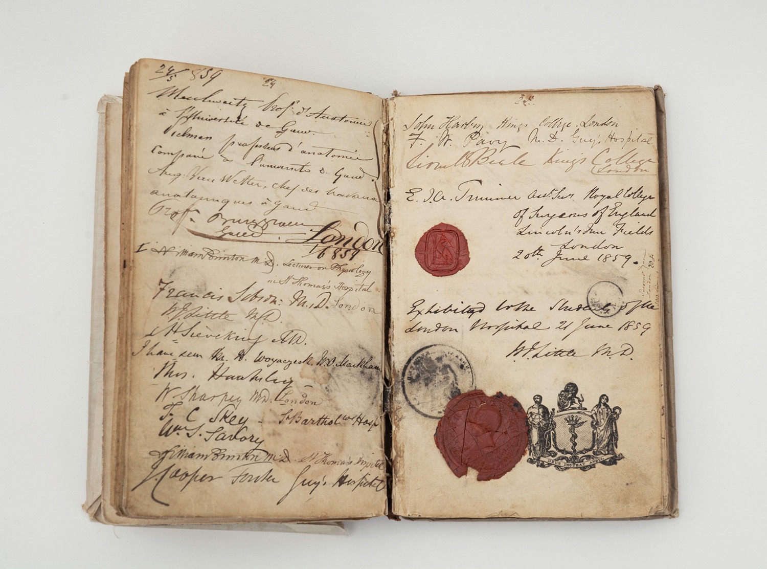 Unterschrift der Herrn Doctorn 1858. Notizbuch – Bild 3